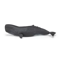 PAPO INTERNATIONAL INC. Sperm Whale Online
