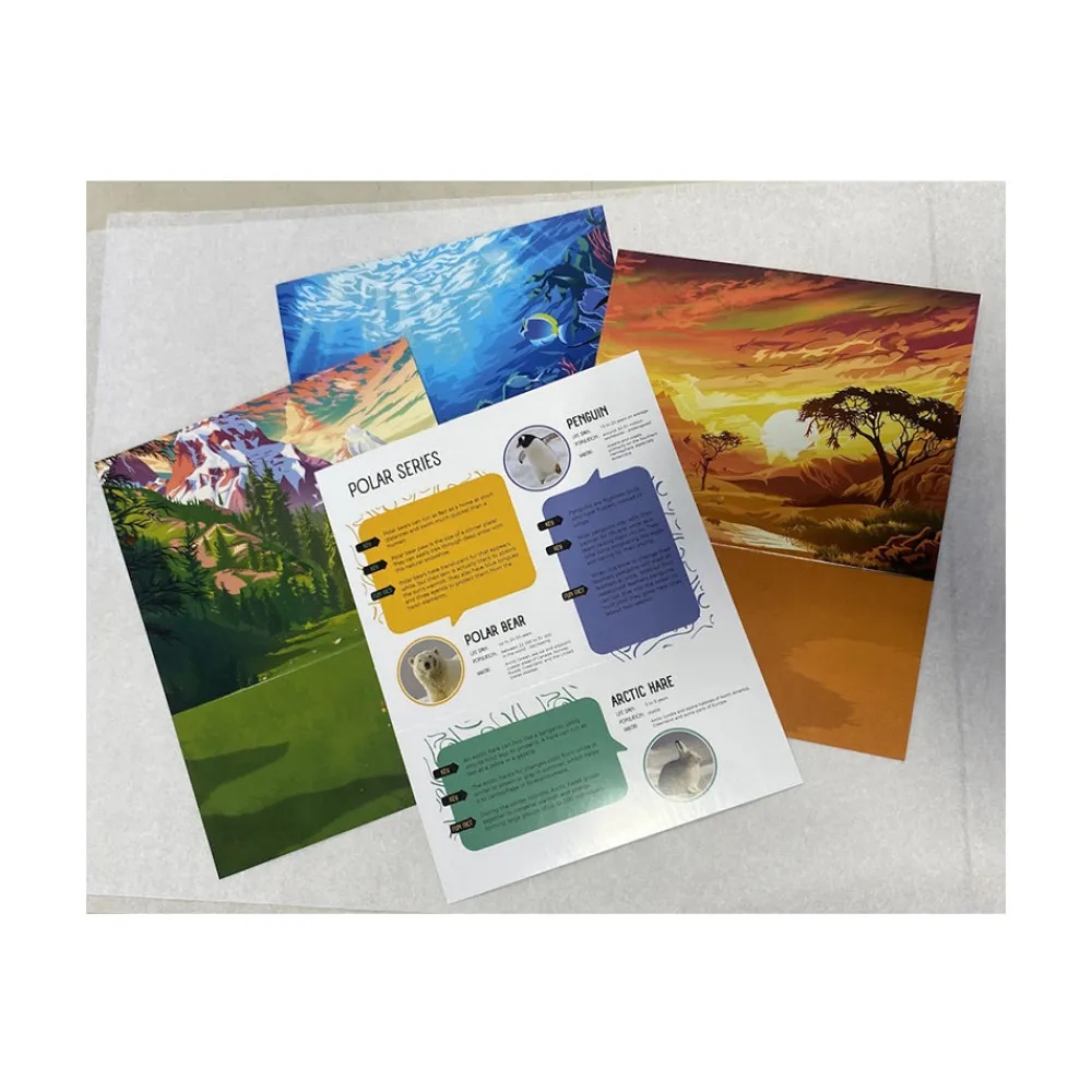 Studio Stone Stone Carving Kit – Penguin Online