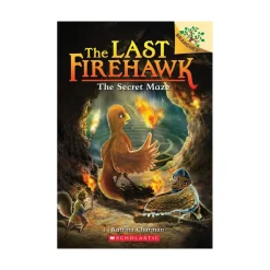 Mastermind Toys The Last Firehawk #10 The Secret Maze Book Sale