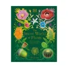Mastermind Toys The Secret World of Plants Outlet