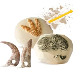 4378814 Canada Inc. / Red Planet Group Toy Excavation Kit Dino 2-Piece New