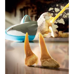 4378814 Canada Inc. / Red Planet Group Toy Excavation Shark Tooth Clearance
