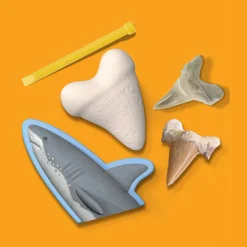 4378814 Canada Inc. / Red Planet Group Toy Excavation Shark Tooth Clearance