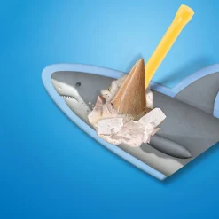 4378814 Canada Inc. / Red Planet Group Toy Excavation Shark Tooth Clearance