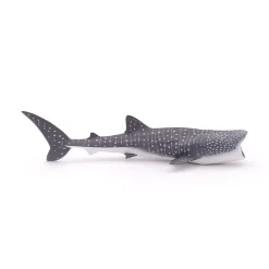PAPO INTERNATIONAL INC. Whale Shark Best