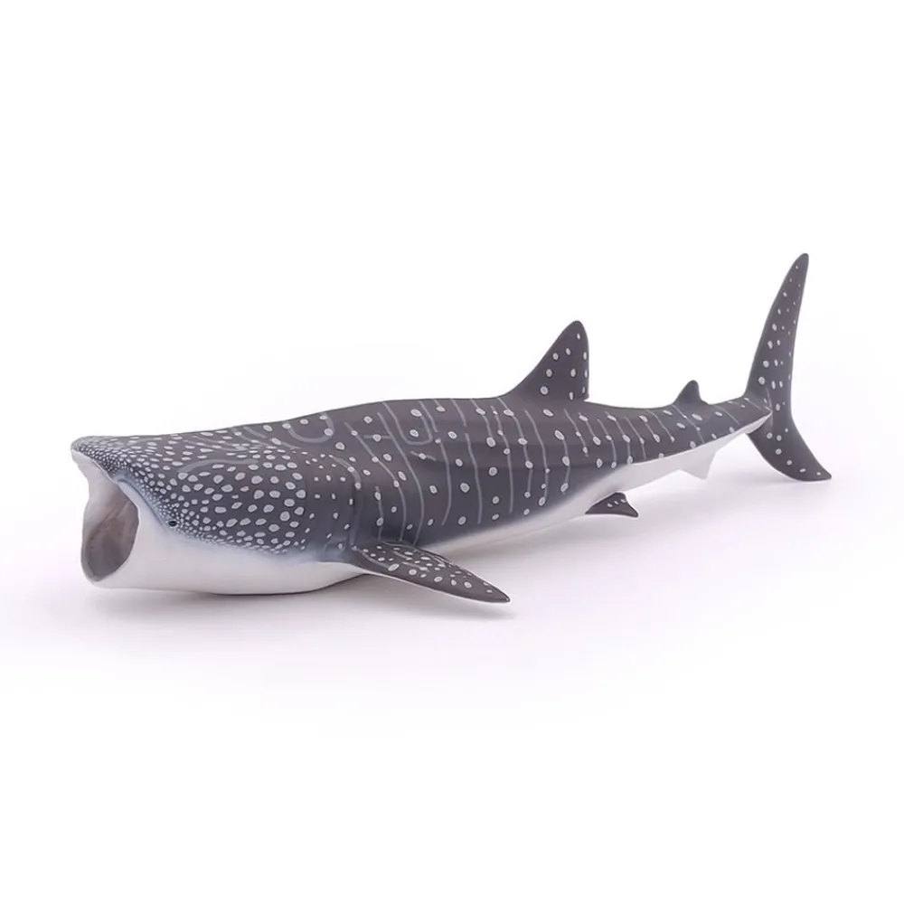 PAPO INTERNATIONAL INC. Whale Shark Best
