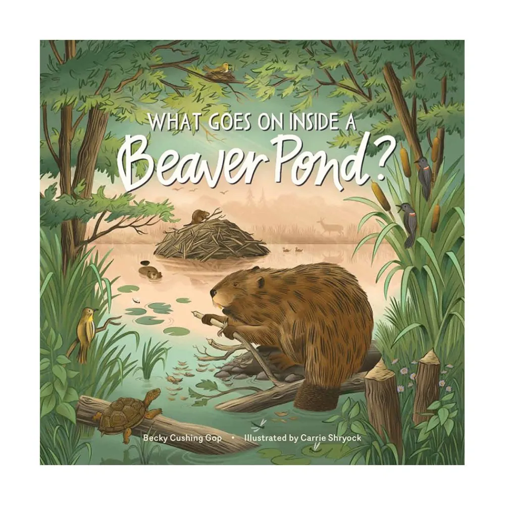 Hachette Book Group What Goes on inside a Beaver Pond? Clearance