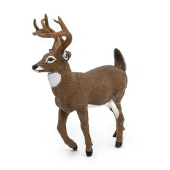 PAPO INTERNATIONAL INC. White-Tailed Deer Sale