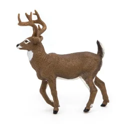 PAPO INTERNATIONAL INC. White-Tailed Deer Sale