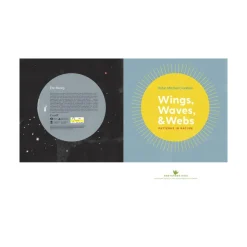 Mastermind Toys Wings, Waves & Webs Patterns in Nature Outlet